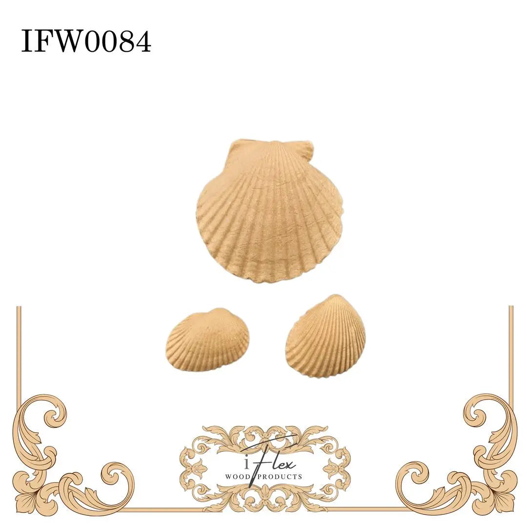 IFW 0084 Set of 3 sea shells, nautical iFlex Wood Products