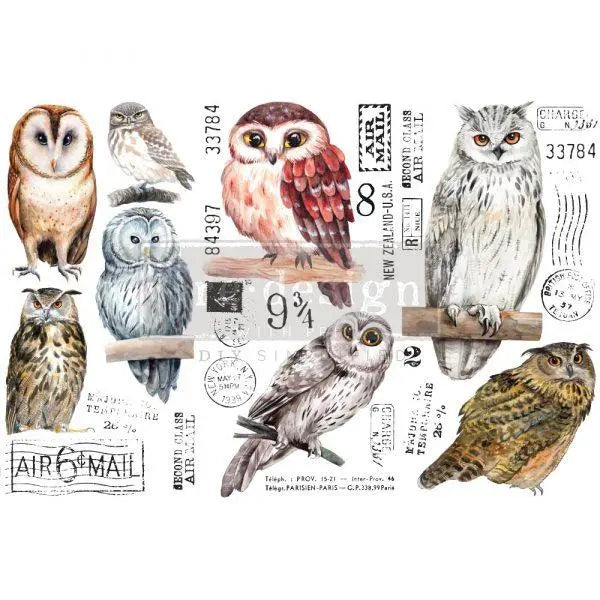 Owl Mini-Transfer - Total Sheet Size: 6″ X 12″ Prima Re-Design